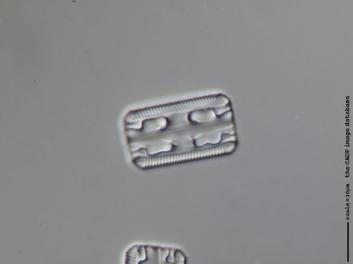 B303.2.JPG