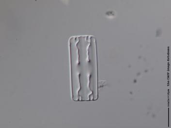 B304.1.JPG