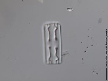 B304.2.JPG