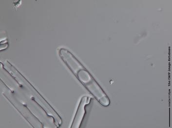 B304.6.JPG
