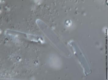 B306.1.JPG