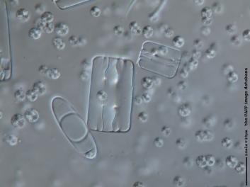 B306.5.JPG