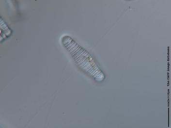 B307.4.JPG