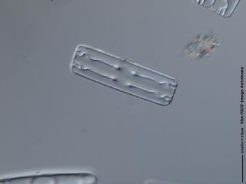 B308.1.JPG