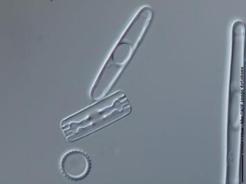 B308.4.JPG