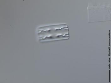 B309.4.JPG
