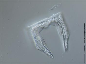 B316.4-5.jpg