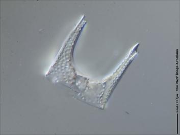 B317.1-6.jpg