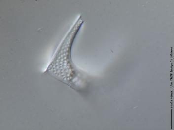 B317.2.JPG