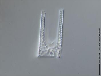 B317.7-9.jpg