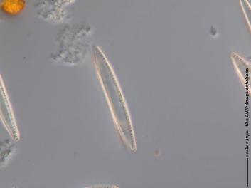 B319.1.JPG