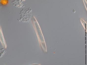 B319.2.JPG