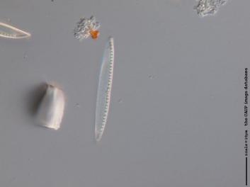 B319.3.JPG