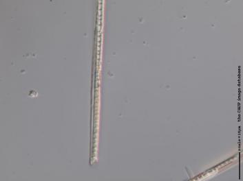 B321.4.JPG