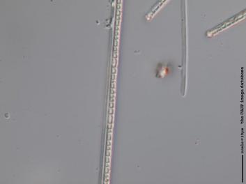 B321.6.JPG