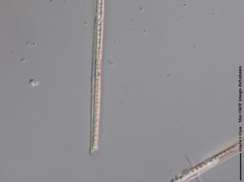 B321.7.JPG