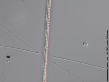 B321.8.JPG