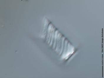 B322.2.JPG
