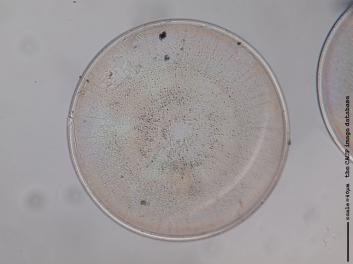 B323.3.JPG