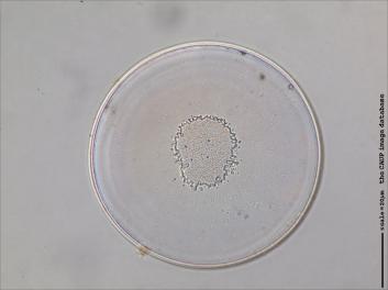B324.1-6.jpg