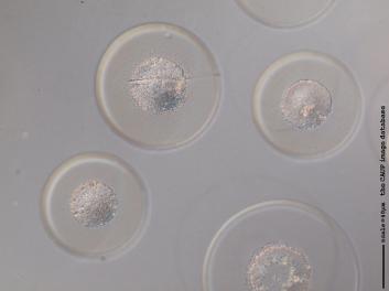 B325.1.JPG