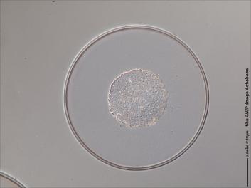 B325.2-4.jpg