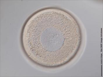 B326.2-3.jpg