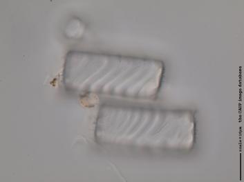 B329.1.JPG