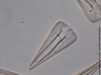 B331.4.JPG