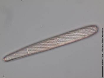 B332.4.JPG