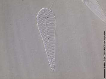 B334.4.JPG