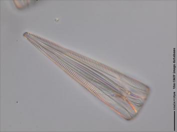 B336.4-5.jpg