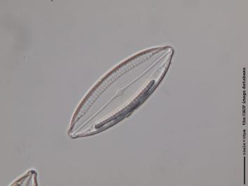 B405.1.JPG