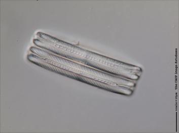 B407.4-5.jpg
