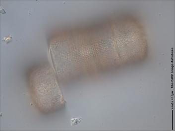 B412.1-2.jpg