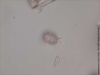 B418.10-14.jpg