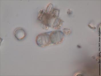 B418.4-8.jpg