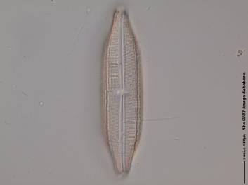 B419.1.JPG