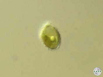 B601_1.jpg