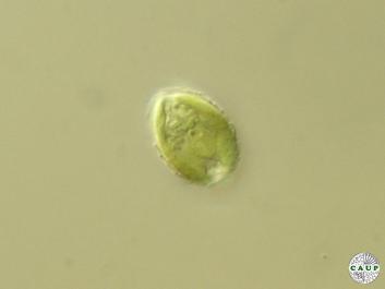 B601_2.jpg