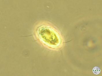 B601_3.jpg