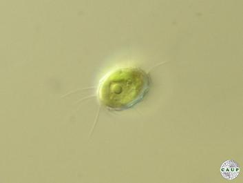B601_4.jpg
