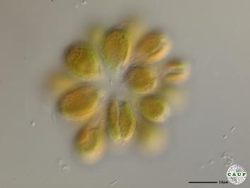 B704c.JPG
