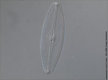 C102.1-2.jpg
