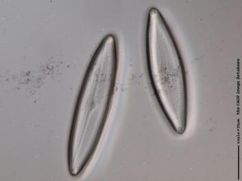 C112.2.JPG