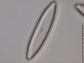 C112.3.JPG