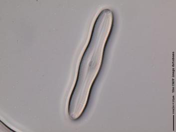 C121.3.JPG