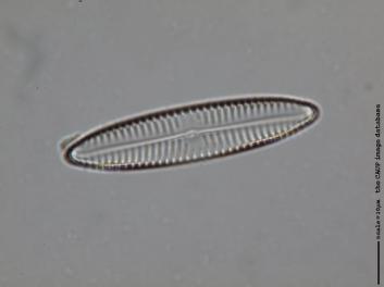 C208.2.JPG