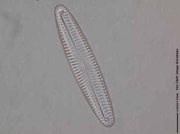 C208.3.JPG