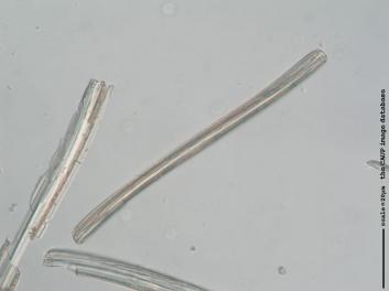 C221b.jpg
